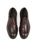 Brown shoes with brogue decoration SERAFFIN