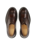 Brown derby style BROGUES with openwork embellishment ADAN