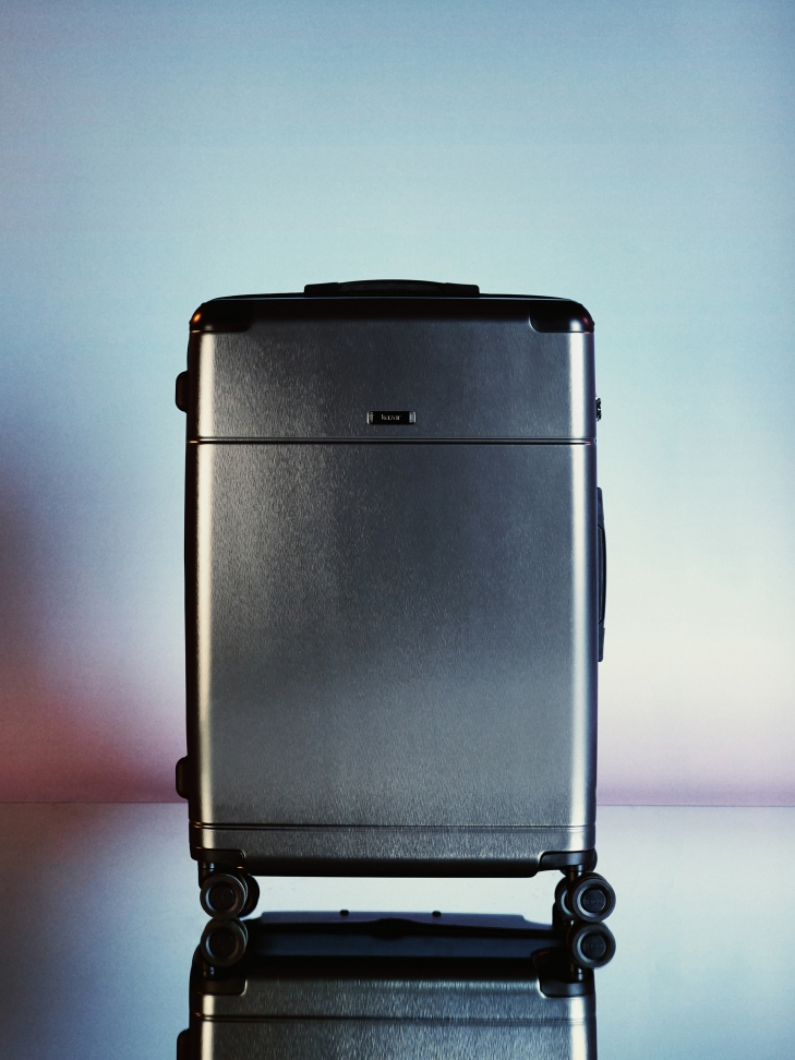 Large PC cabin bag in grey WORLD TOUR