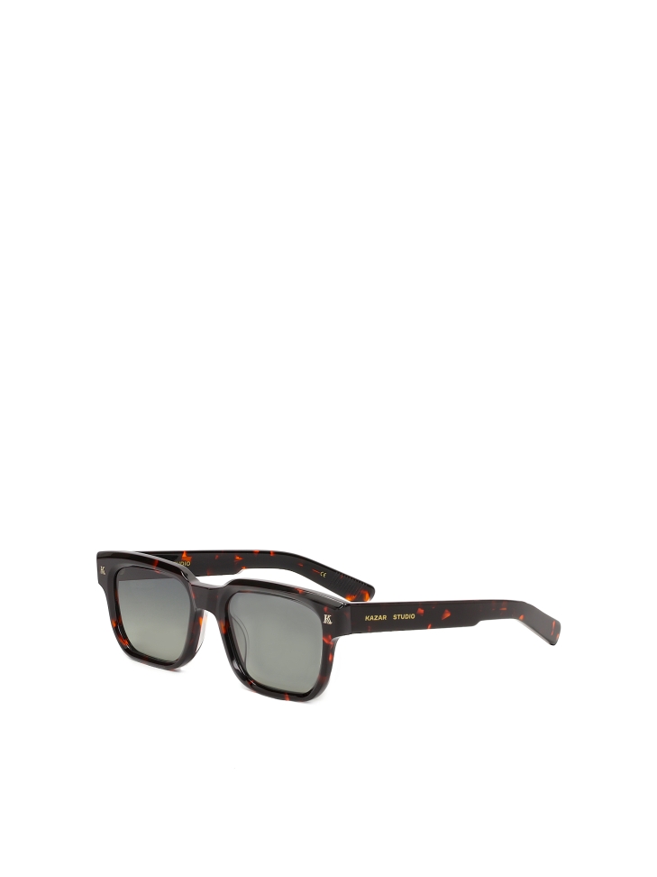 Men's classic polarized sunglasses  BILLAY